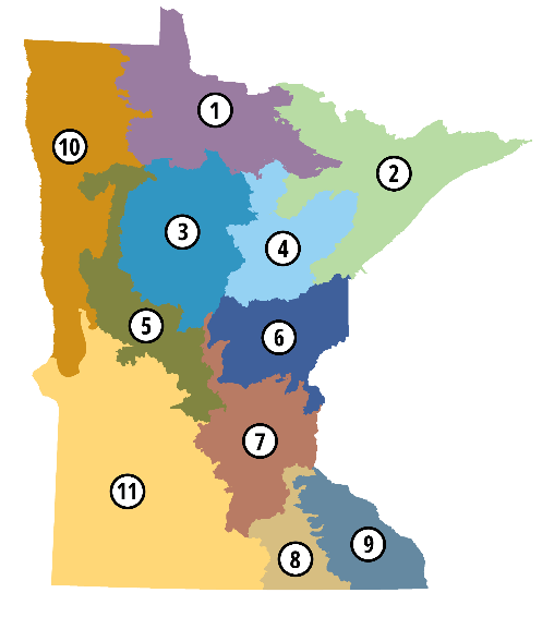 image001 (1) Red Oak (Quercus rubra) - Plugs